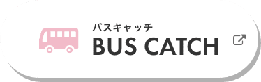 BUS CATCH